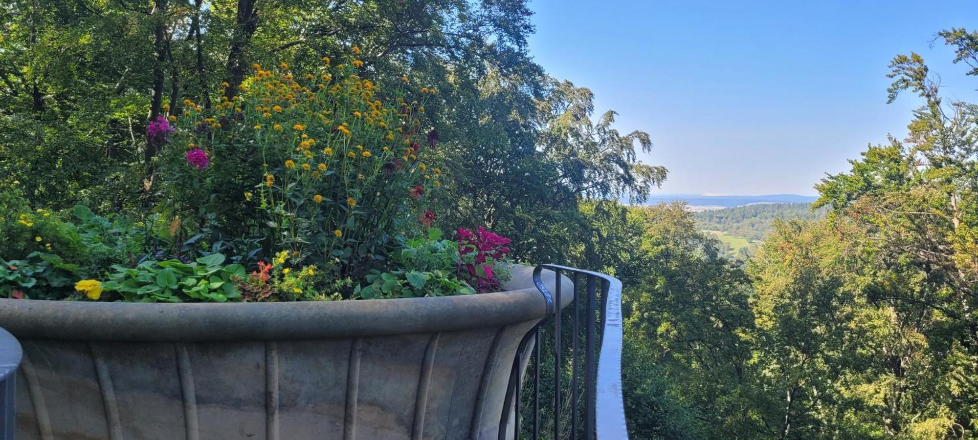 Villa Charlotte Bad Liebenstein Dış mekan fotoğraf