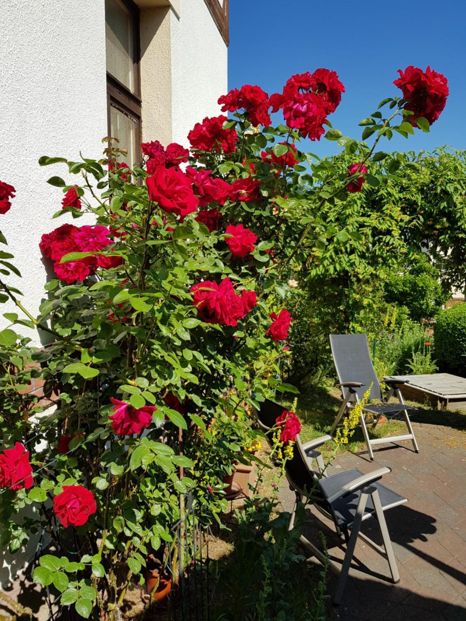 Villa Charlotte Bad Liebenstein Dış mekan fotoğraf