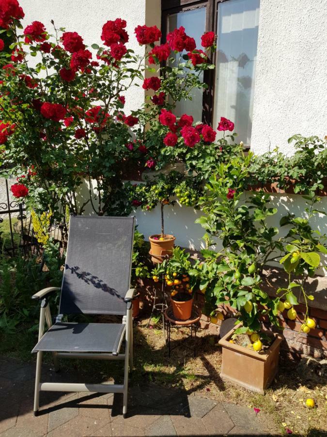 Villa Charlotte Bad Liebenstein Dış mekan fotoğraf