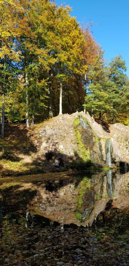 Villa Charlotte Bad Liebenstein Dış mekan fotoğraf
